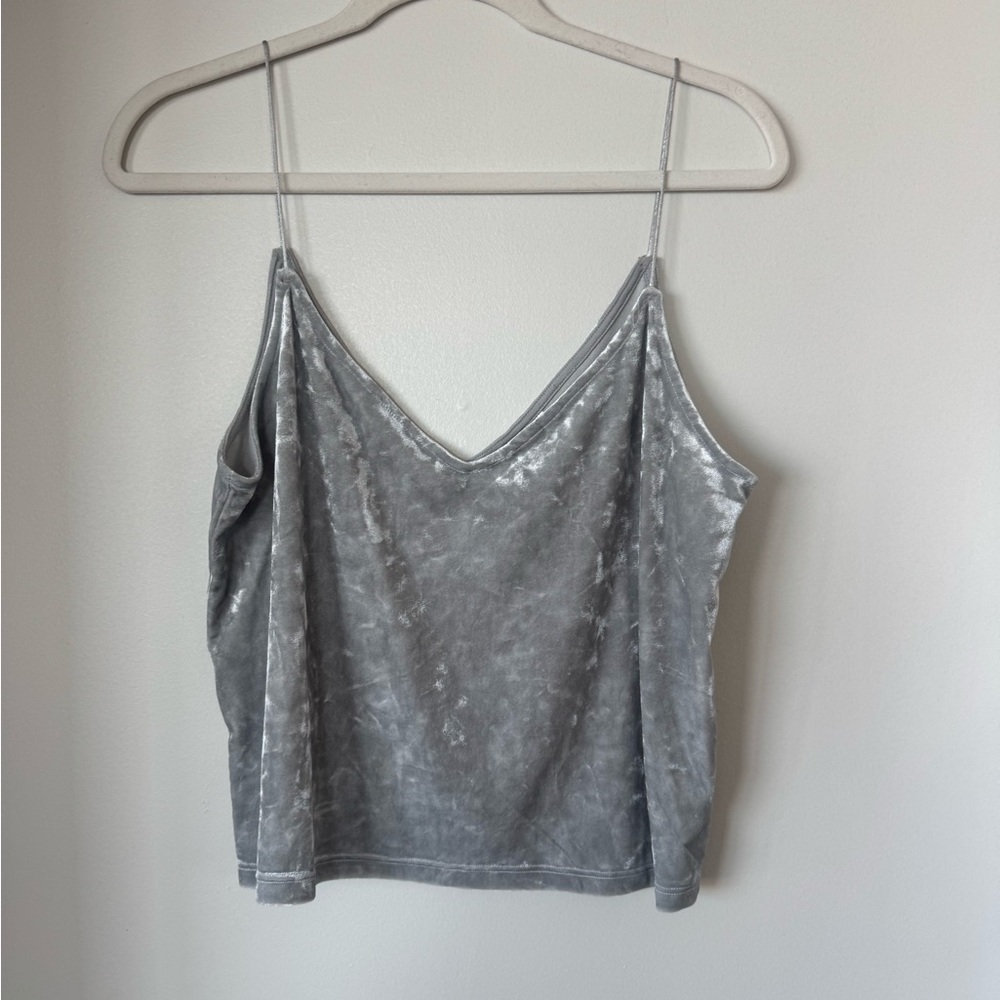 Gray/Silver Velvet Women's Top